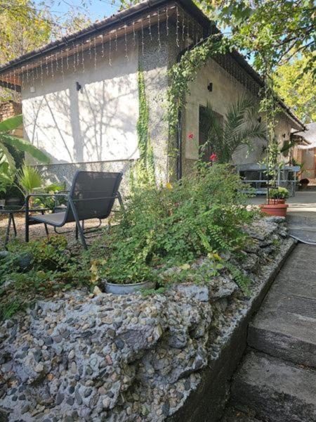 Стаи За Гости Лилия Hisarya Exterior foto